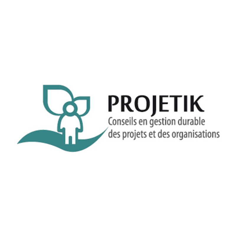 Projetik Image 1